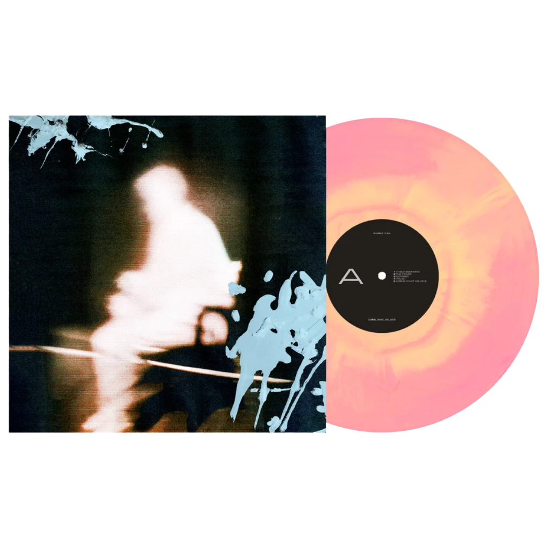 KNUCKLE PUCK - Losing What We Love Vinyl