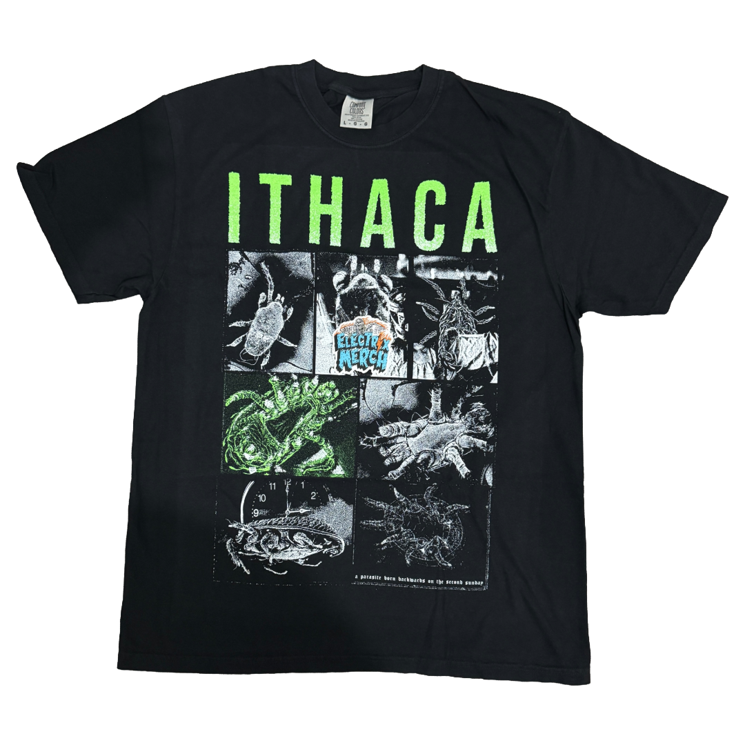 ITHACA - Parasite