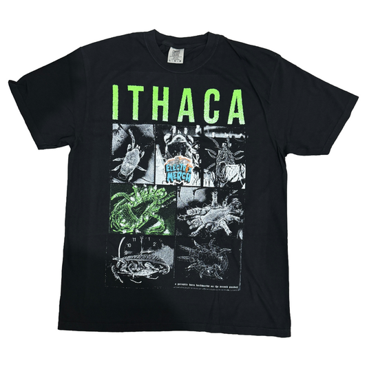 ITHACA - Parasite