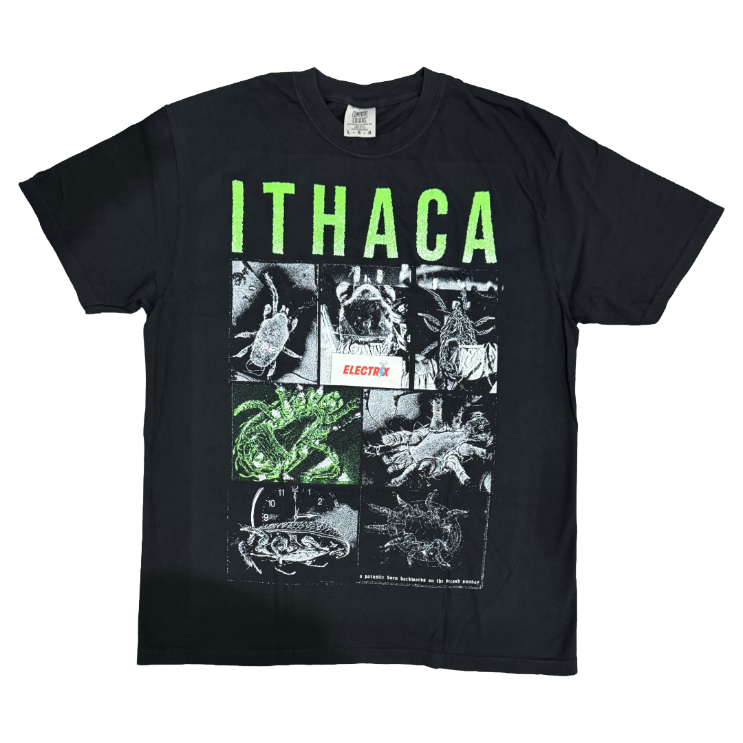 ITHACA - Parasite