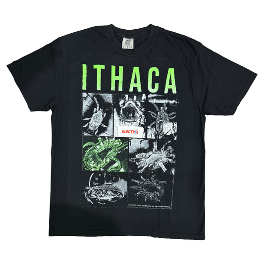 ITHACA - Parasite