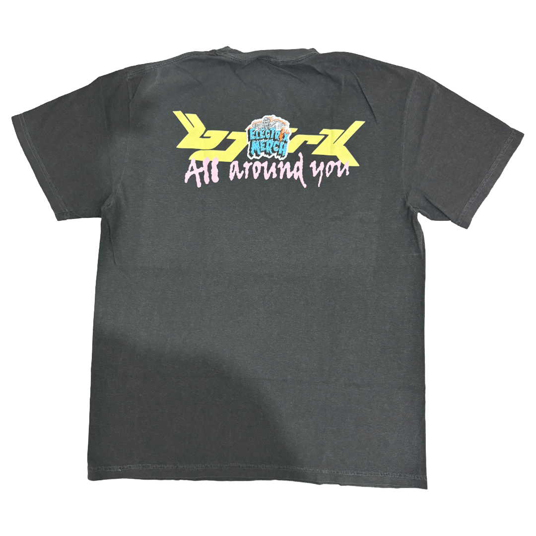 HOLY MOUNTAIN PRINTING - All Around You
