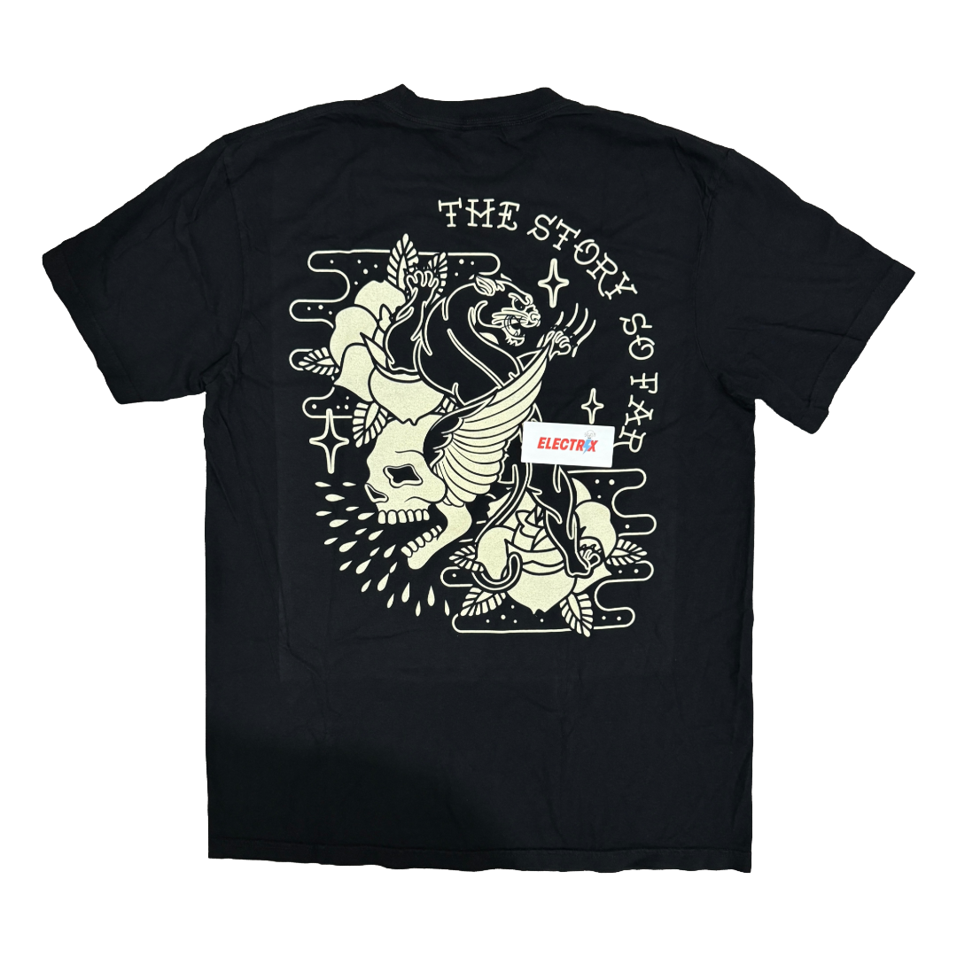 THE STORY SO FAR - Skull Panther