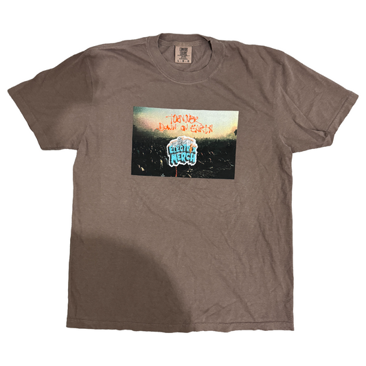 TURNOVER - Down On Earth Artwork